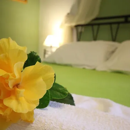 Panorama קאמארי