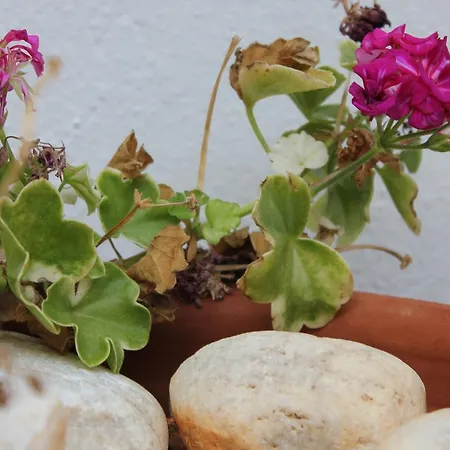 Panorama Holiday home Kamares (Sifnos)