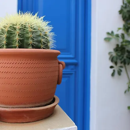 Σπίτι διακοπών Panorama