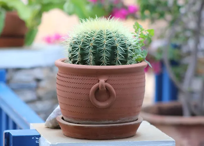 Panorama Сasa de vacaciones *