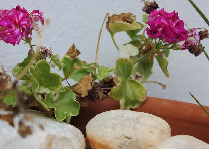 Panorama 別荘 カマライ