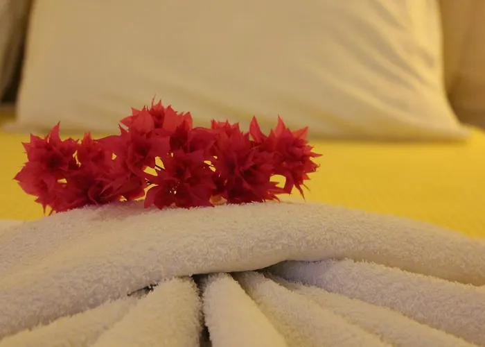 別荘 Panorama カマライ